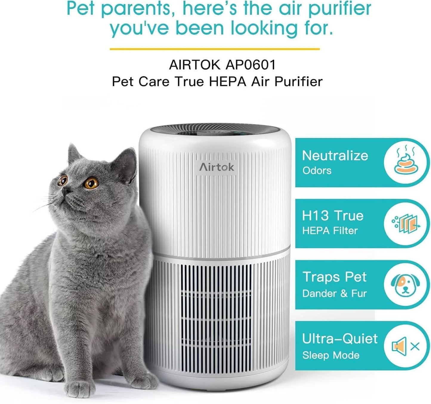Air Purifier AP0601 wit