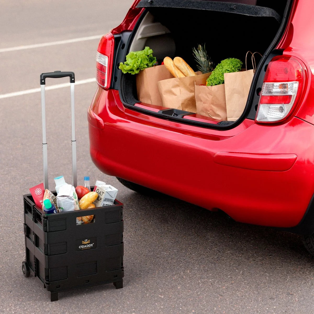 O'DADDY Boodschappentrolley met Wielen - XL 50L met 2 Wielen - Inklapbare Boodschappenkra