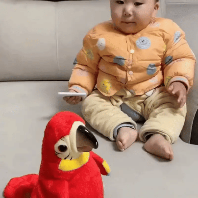 ChatParrot – Jouw kletsgrage knuffelmaatje - Pratende papegaai