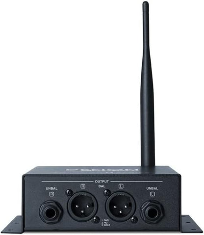Denon Professional DN-200BR – Bluetooth Audio Receiver voor Professioneel Gebruik | XLR & RCA Uitgangen
