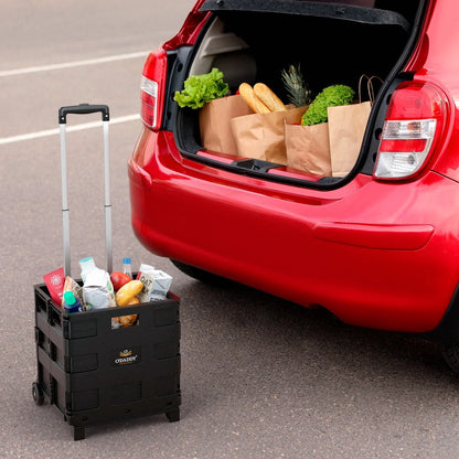O'DADDY Boodschappentrolley met Wielen - XL 50L met 2 Wielen - Inklapbare Boodschappenkra