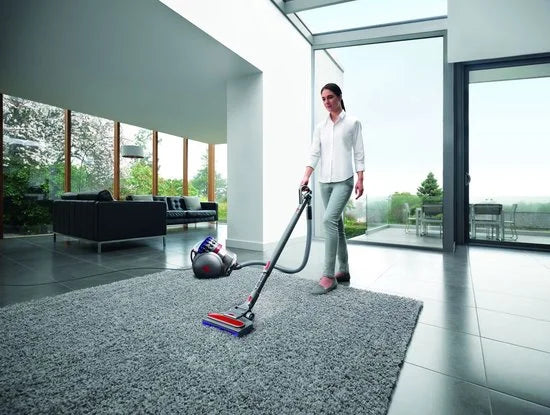 Dyson Big Ball Absolute 2 - Stofzuiger