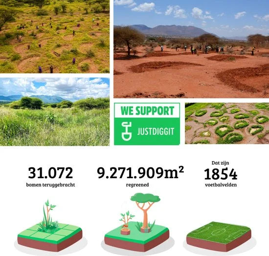 Nutrifoodz - Eiwitpoeder Vegan - Complete Protein - Vegan Eiwitshake - Vanillesmaak - 20 maaltijden - Maaltijdshake – Essentiële vitamines en mineralen