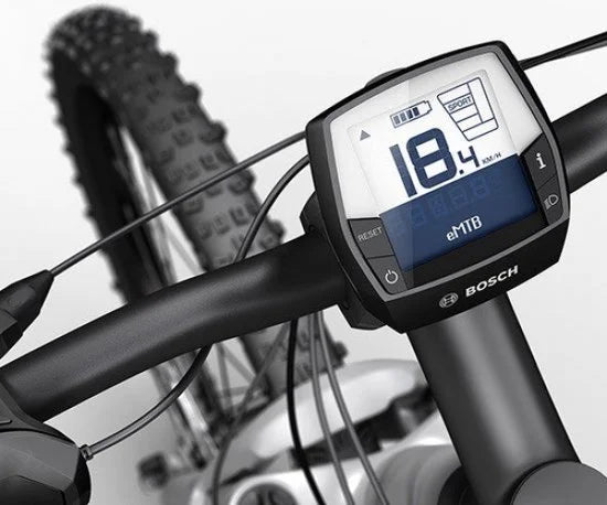 Bosch Intuvia Display