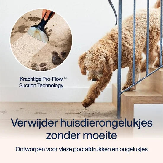 Samako Tapijtreiniger PRO 1800W - Stoomreiniger en vlekkenreiniger - 8 Opzetstukken - 100° Stoom - Bankreiniger - Meubelreiniger