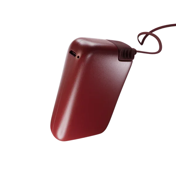 batterij pack flex 33wh