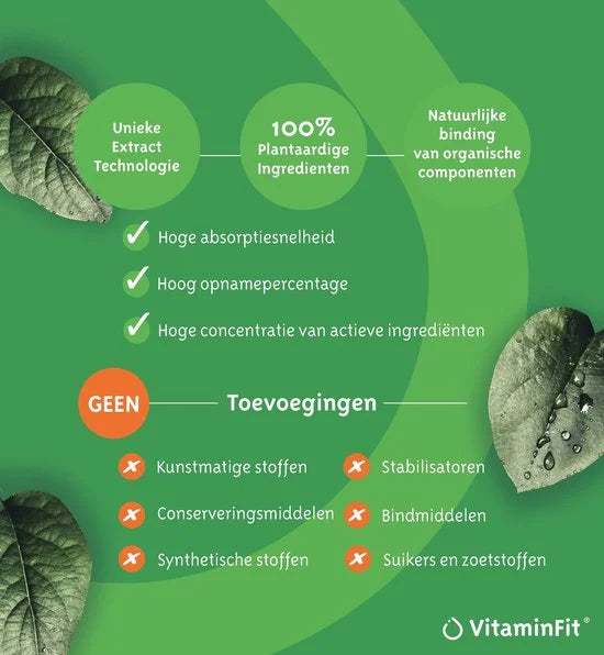 Vegan Multivitamine Druppels - 100% Natuurlijk & Plantaardig - Vloeibaar - 30 ML