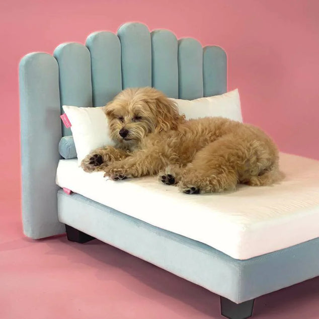 Luxor bed large Riviera Blue