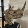 neushoorn-woodlook-cw-10