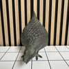 Bronzen kippen beeld