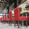 Set van 2 | bistrostoel | leer | rood | gastronomische stoelen, bistrostoelen bekleed