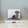 SMART DOG POTTY M 70x70