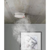 smoke detector with HUSH featu