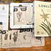 Lobelius, het spel