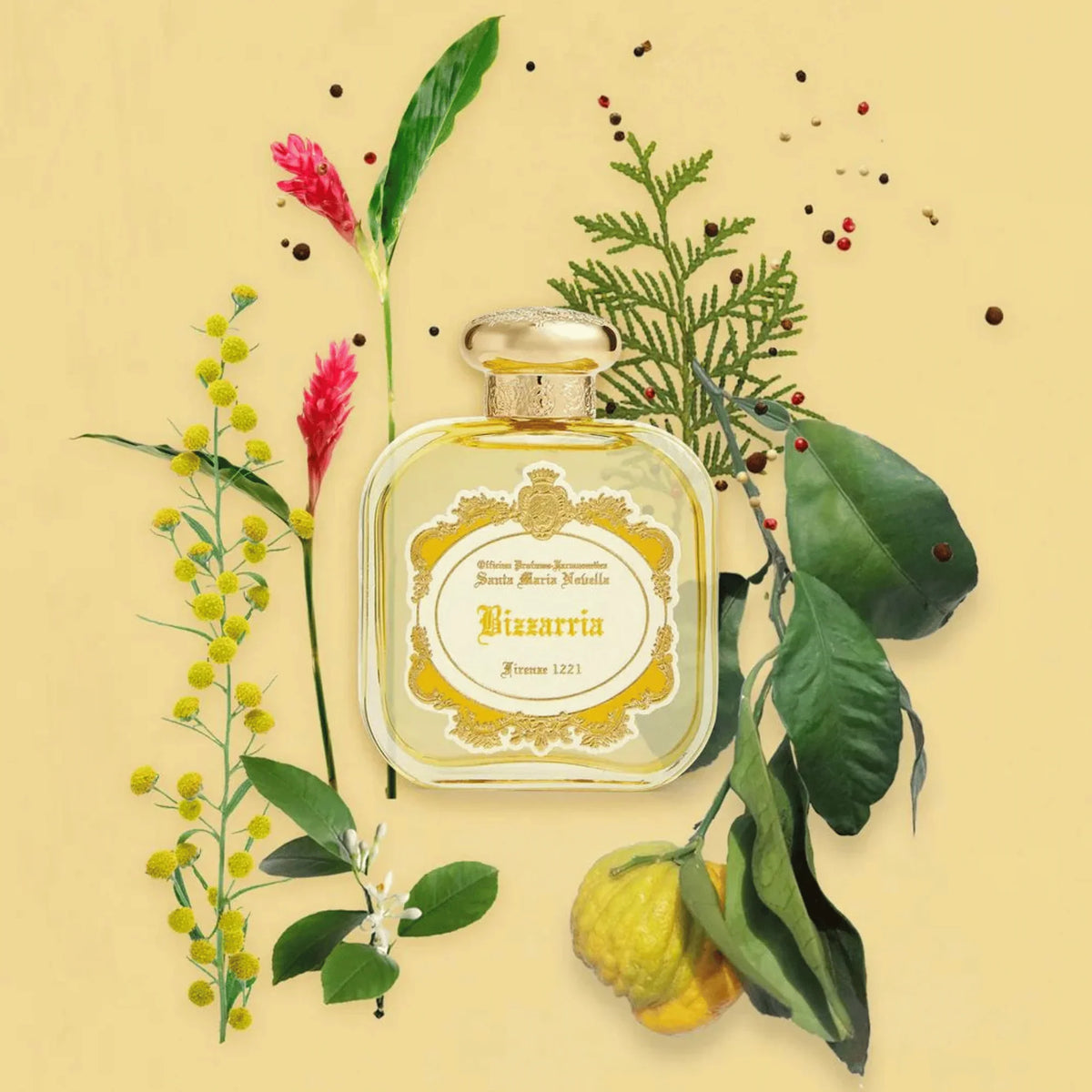 Bizzarria Eau de Parfum 50ml