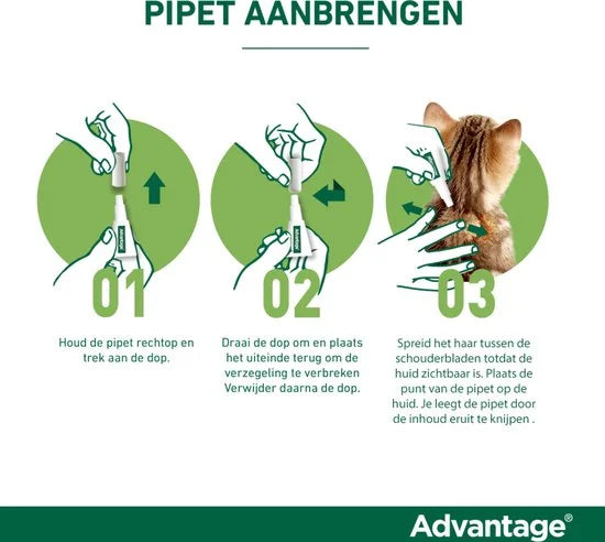 Bayer Anti vlooienmiddel Advantage 80 > 4 kg - 4 x 0,8 ml