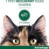 Bayer Anti vlooienmiddel Advantage 80 > 4 kg - 4 x 0,8 ml