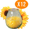 Citronella Kaars in Glas - 12 Geurkaarsen - Voordeelbundel - Buitenkaars - Made in Italy