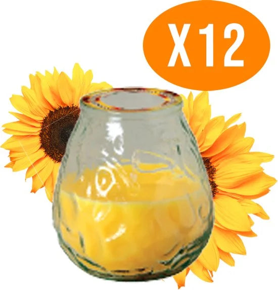Citronella Kaars in Glas - 12 Geurkaarsen - Voordeelbundel - Buitenkaars - Made in Italy