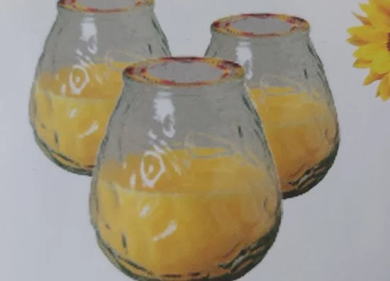 Citronella Kaars in Glas - 12 Geurkaarsen - Voordeelbundel - Buitenkaars - Made in Italy