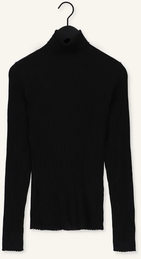 Selected Femme Slfcostina Ls Knit Rib Rollnec Truien & vesten - Zwart