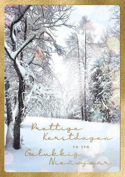 Kaarten - Kerst - Hangpak - Sneeuw in bos - 10st. - HPK.1033