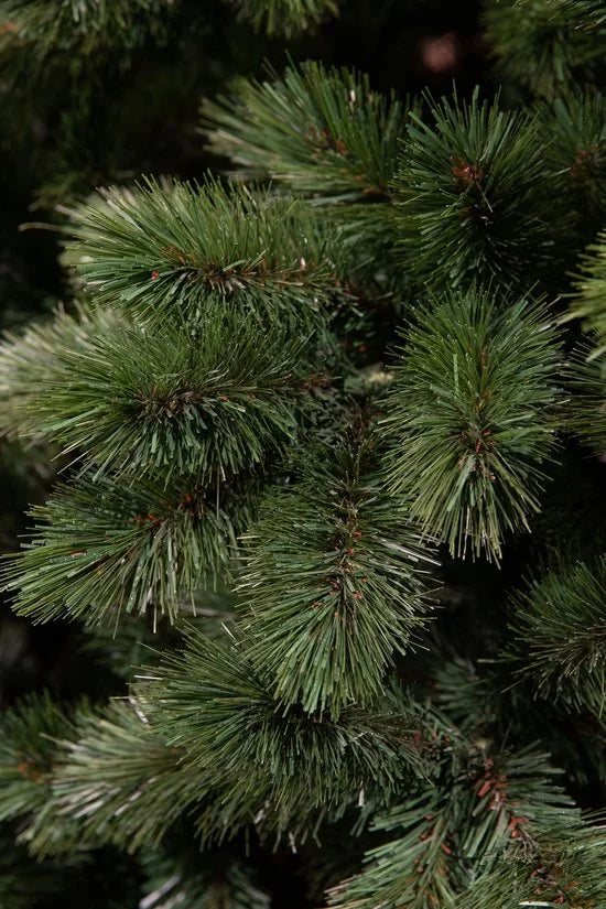 Triumph Tree Camden Guirlande - L270 cm - Groen