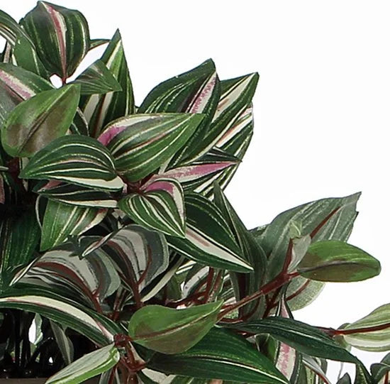 Mica Decorations Kunstplant Tradescantia vader hangplant - 45 cm - groen - Kunstplanten/nepplanten