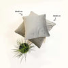 Dutch Decor FINN - Kussenhoes 60x60 cm - velvet - effen kleur - taupe - met rits - zonder binnenkussen